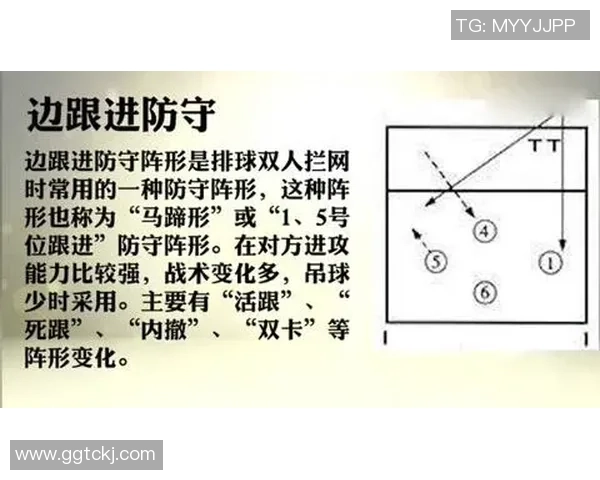 重庆排球队区域防守革新探索与实践的深度分析与展望 重庆排球队区域防守革新探索与实践的深度分析与展望
