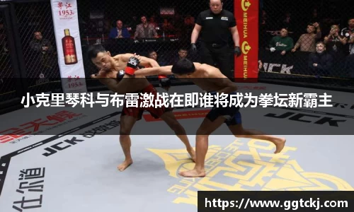小克里琴科与布雷激战在即谁将成为拳坛新霸主